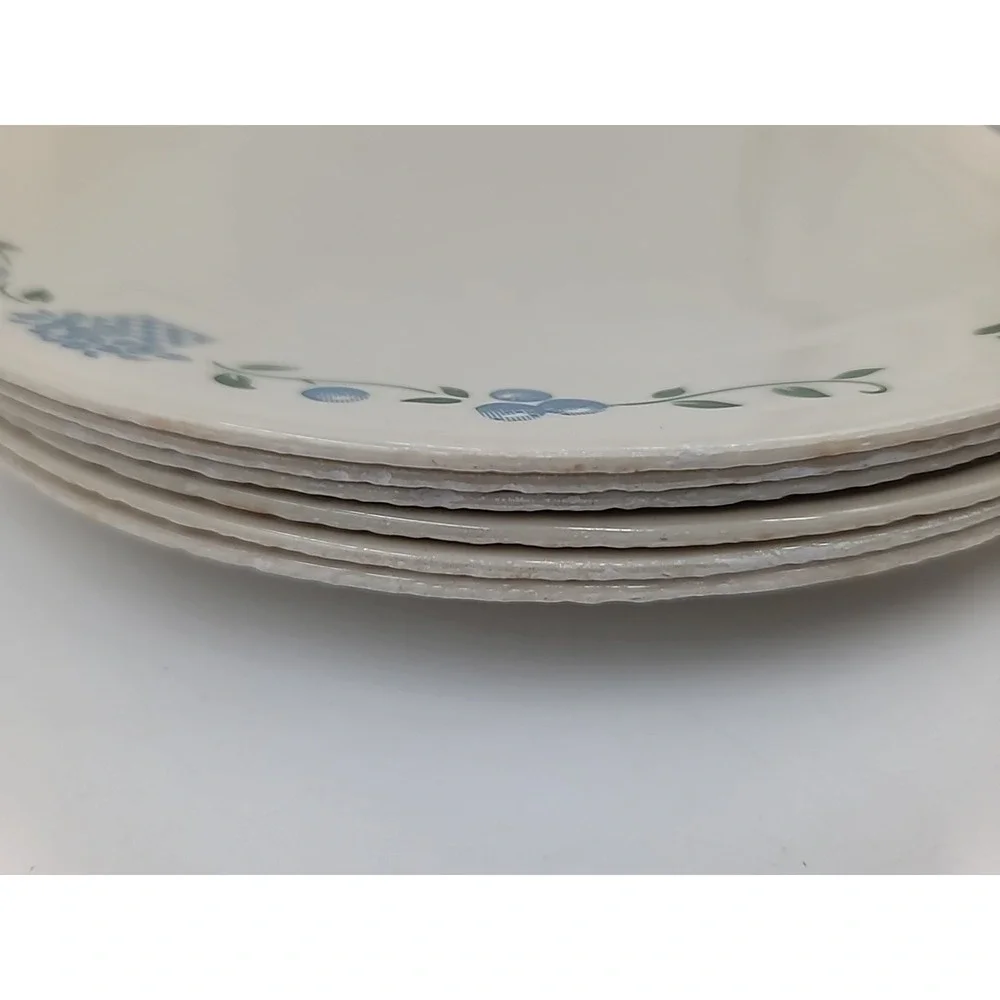 6pc Corelle Corning Blueberry Bouquet Dinner Plates Beige 10.25